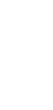 Logo fleur Anais LUCE